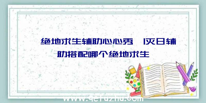 「绝地求生辅助心心秀」|灭日辅助搭配哪个绝地求生